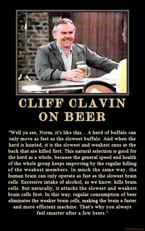 beer makes you smarter.jpg