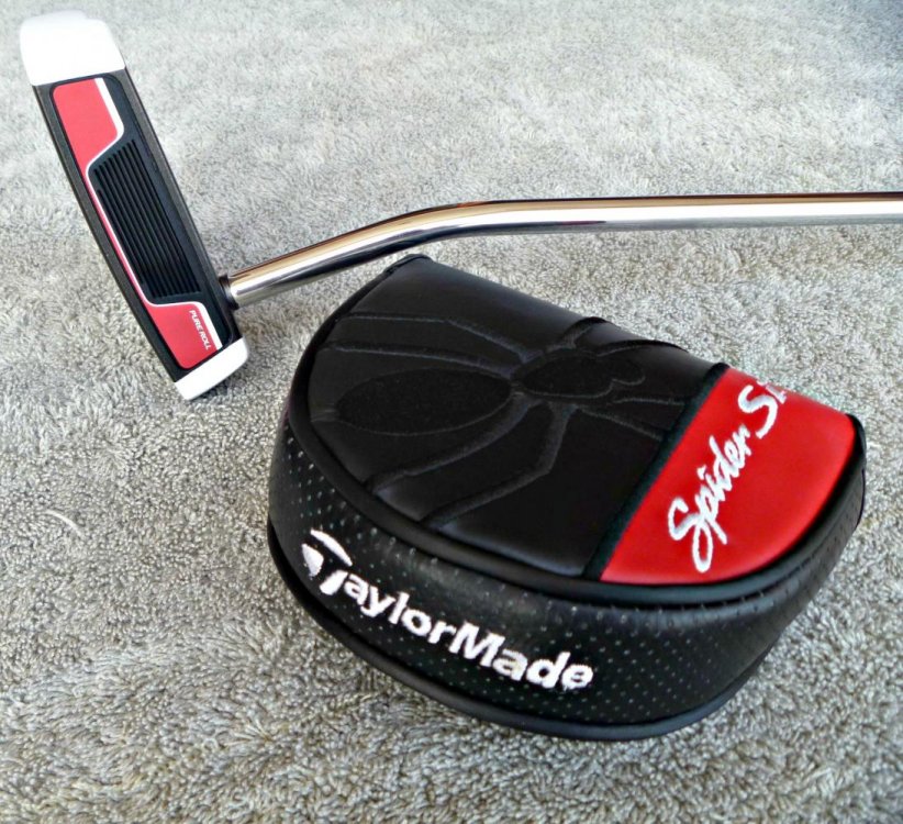 Putter and Case.jpg
