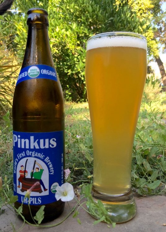 Pinkus Pils - 2.jpg