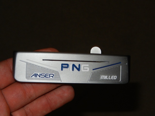 Ping Anser (5).JPG