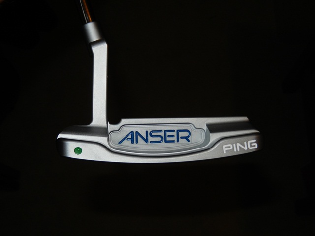 Ping Anser (1).JPG