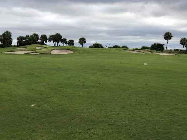 Hilton Head Golf